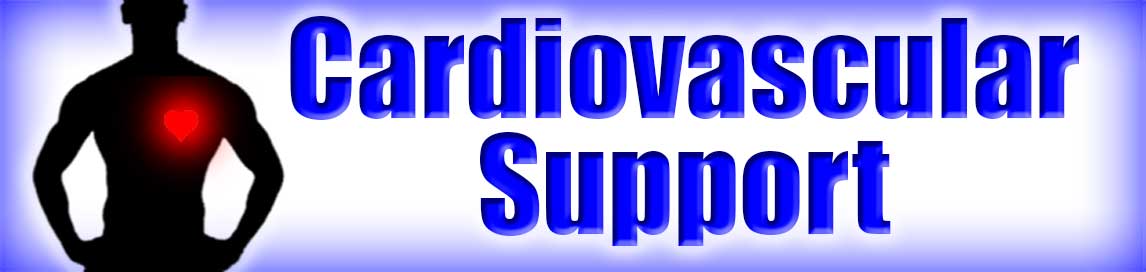 Cardiovascular Support