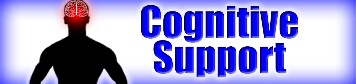 Cognitive Support