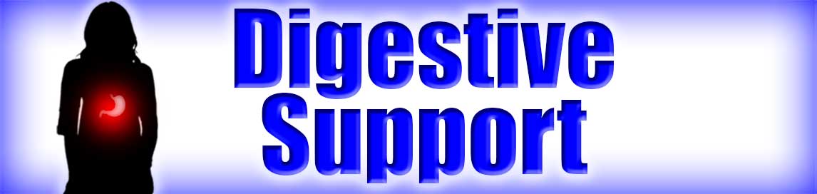 Digestive Support